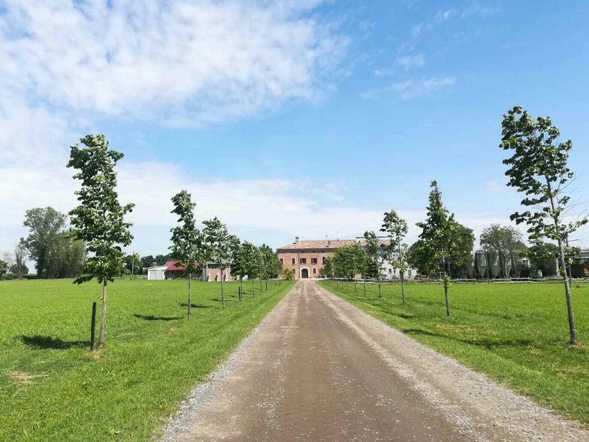 New Flowers Farm B&B Noceto Zewnętrze zdjęcie