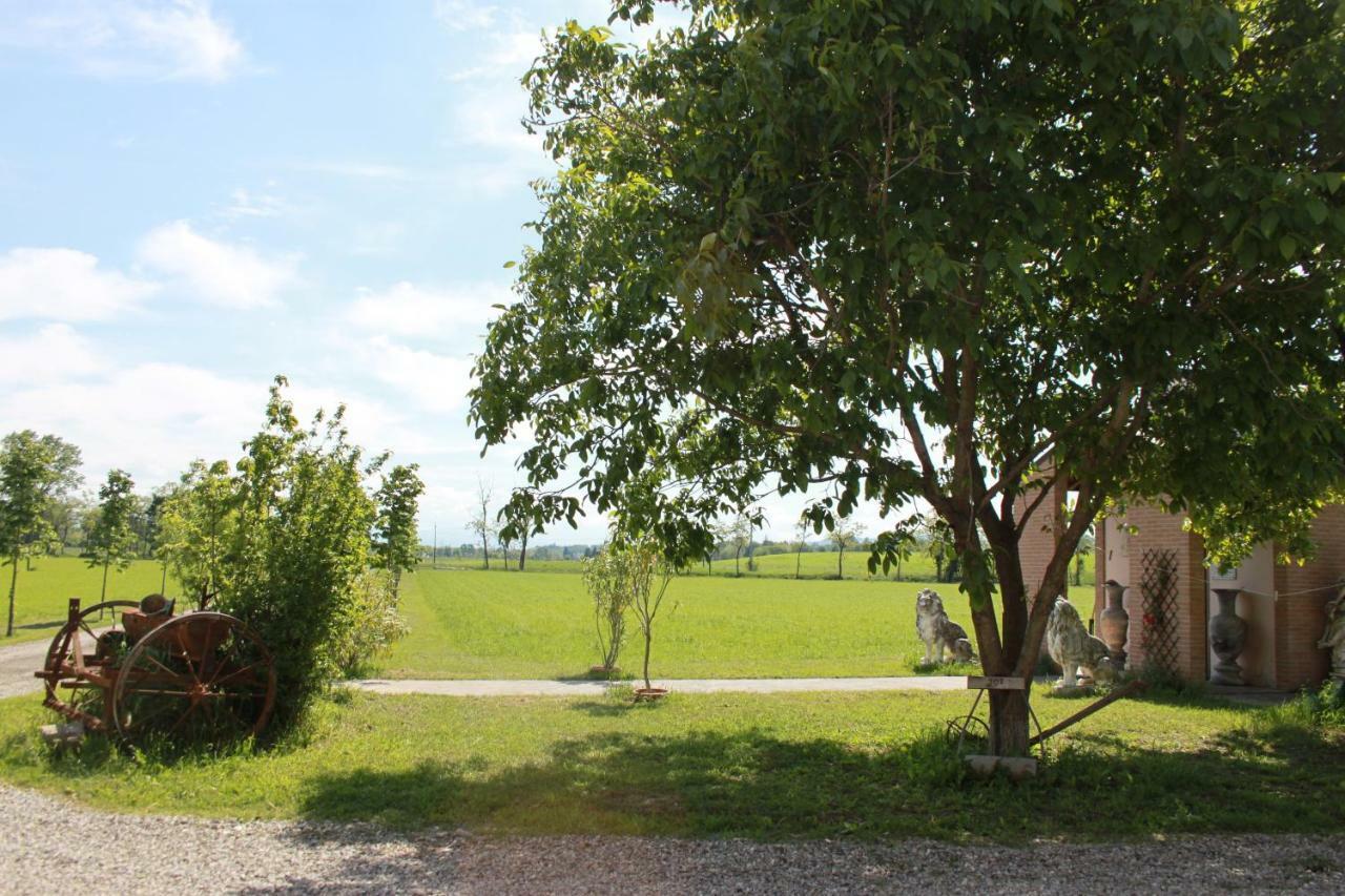 New Flowers Farm B&B Noceto Zewnętrze zdjęcie